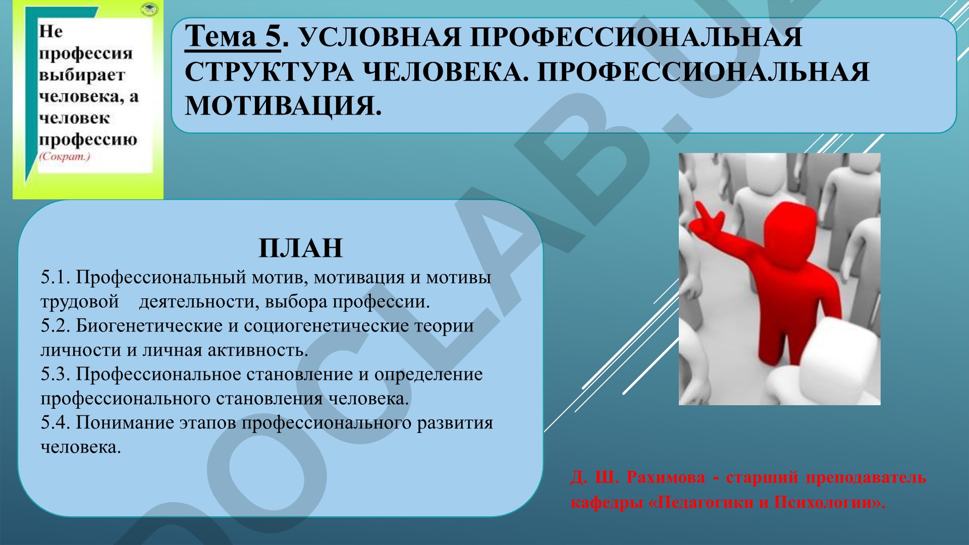 Условная профессиональная структура человека. Профессиональная мотивация