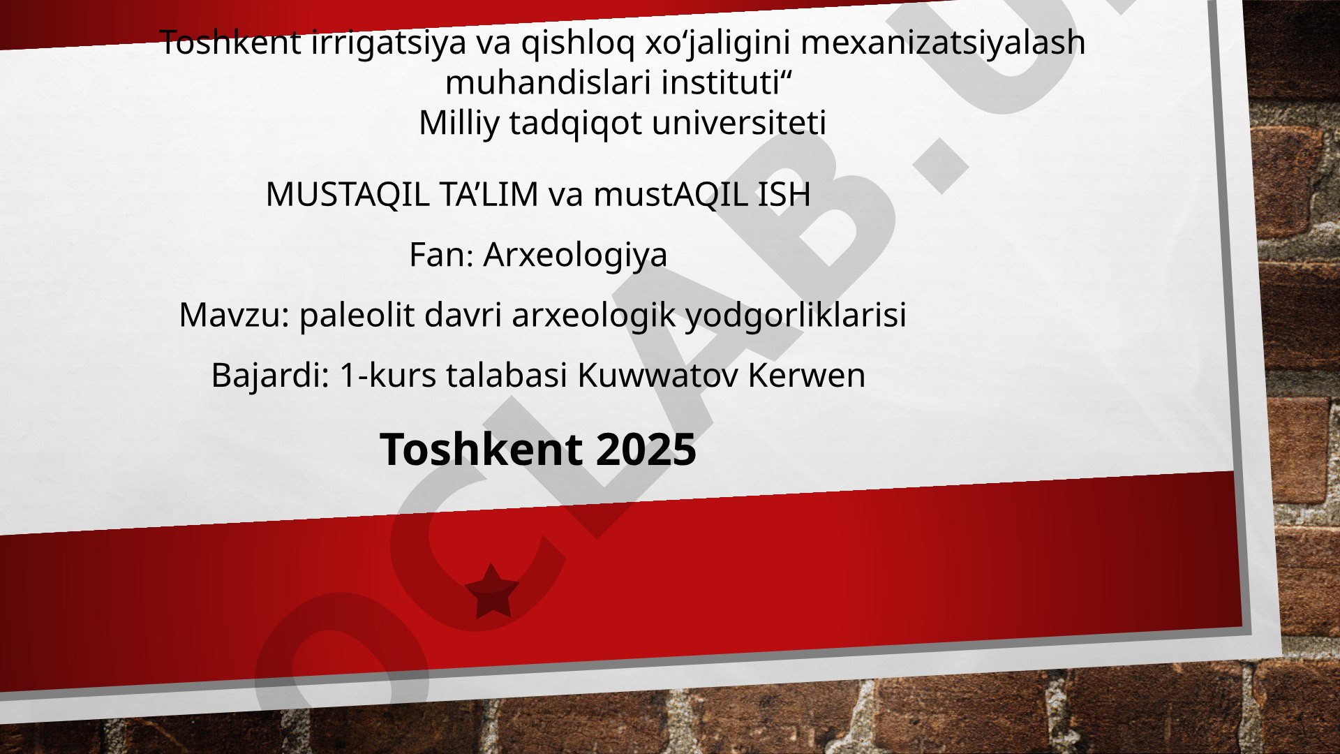 Paleolit davri arxeologik yodgorliklari