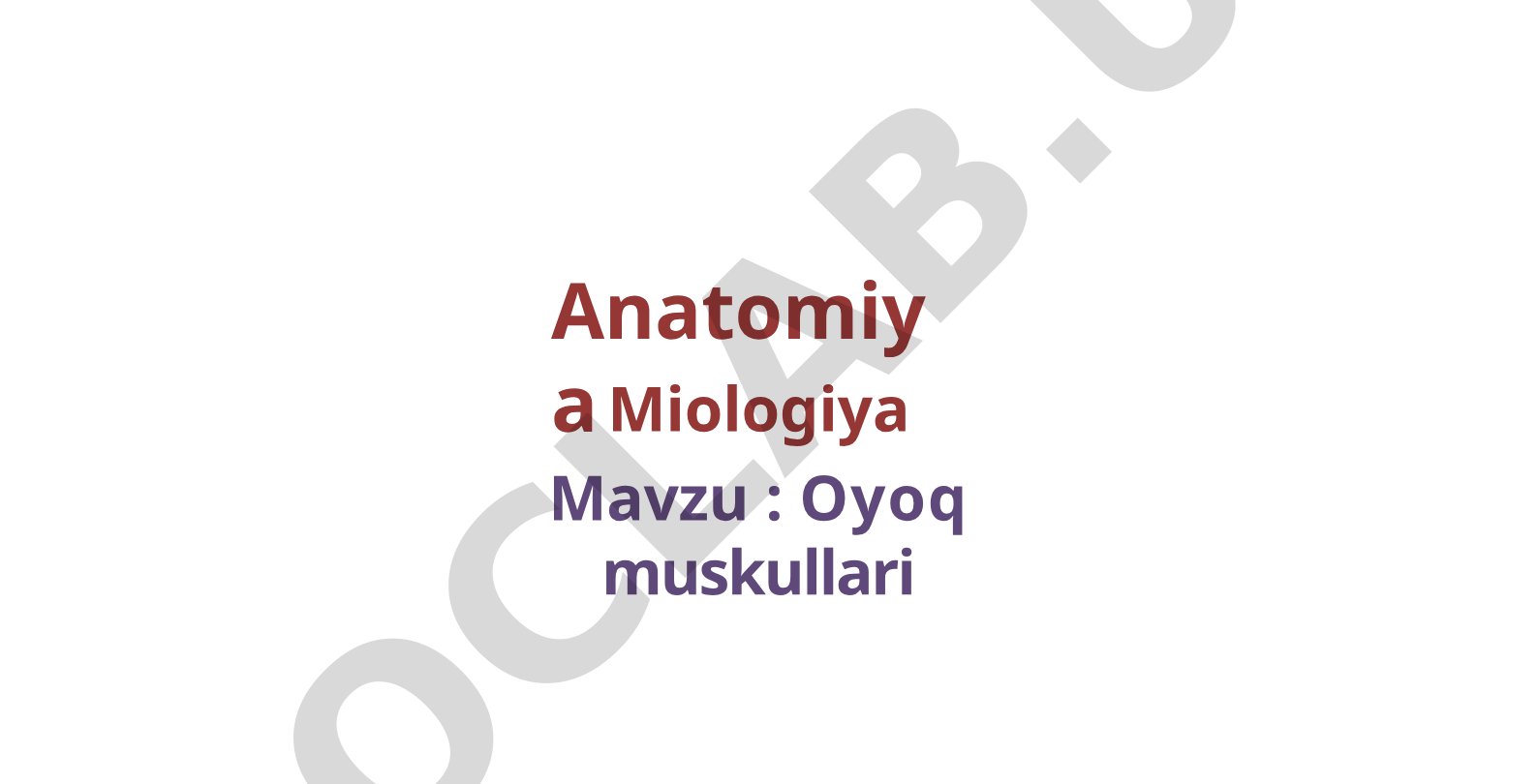 Oyoq muskullari