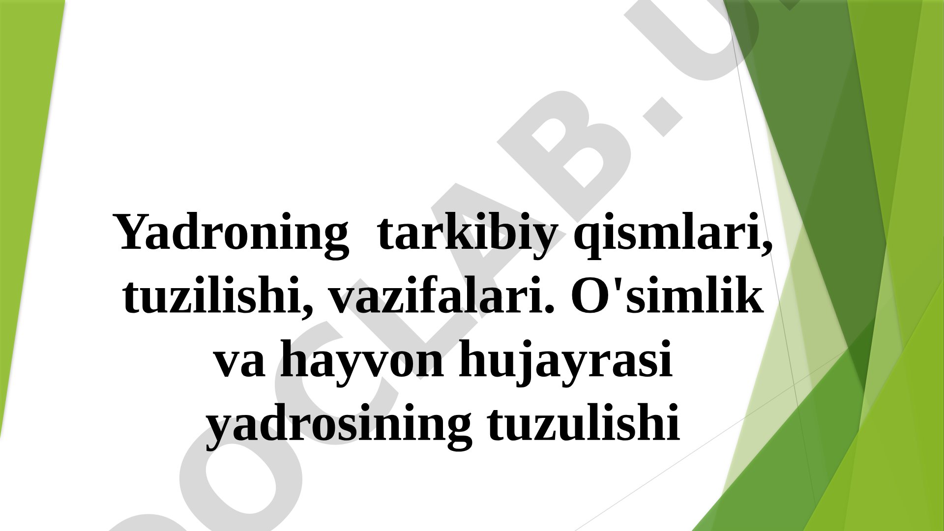 Yadroning tarkibiy qismlari, tuzilishi, vazifalari