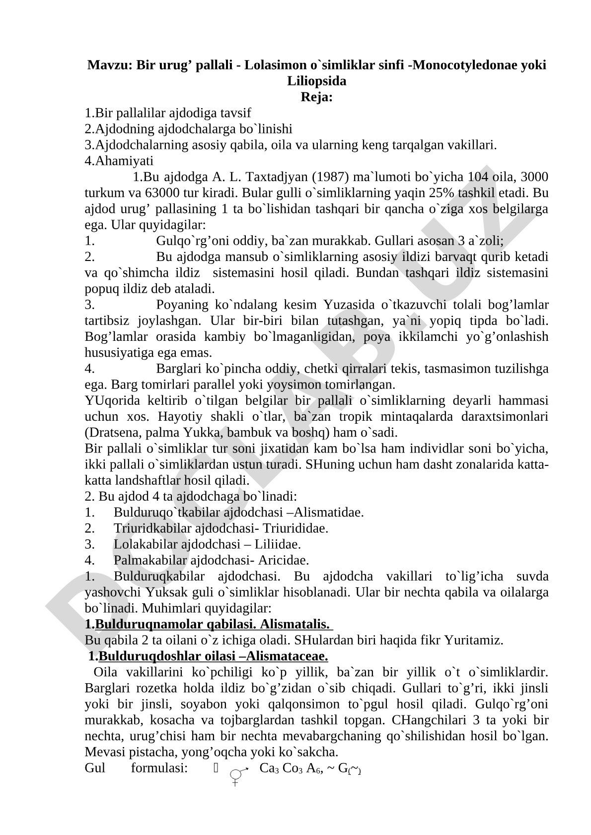 Bir urug' pallali - Lolasimon o'simliklar sinfi - Monocotyledonae yoki Liliopsida