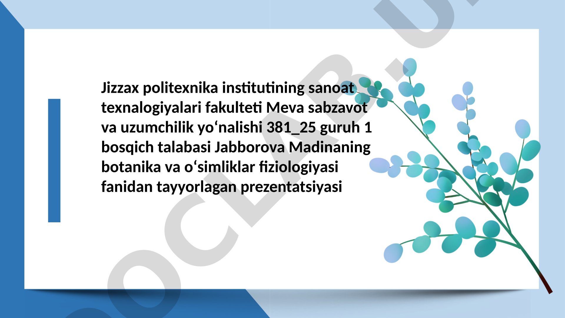 O‘simlik morfologiyasi, tuzilishi, asosiy bo‘limlari va tarixi haqida