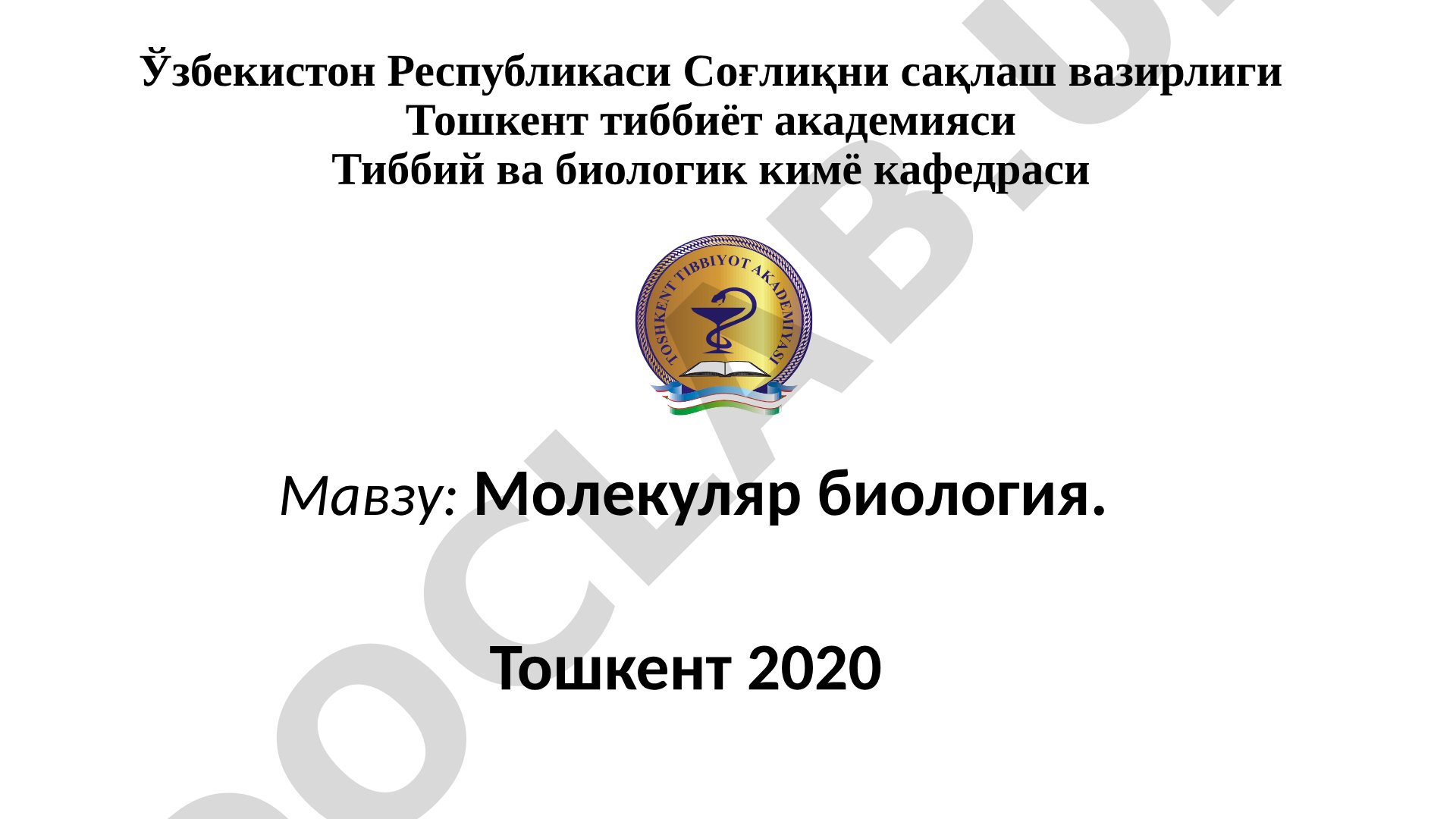Slayd materiallari