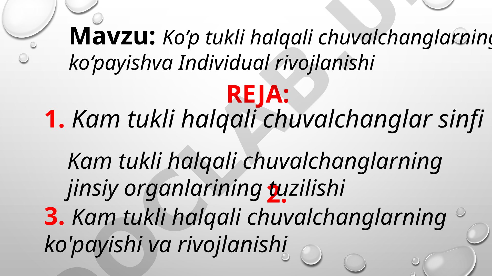 Ko'p tukli halqali chuvalchanglarning ko'payishi va individual rivojlanishi