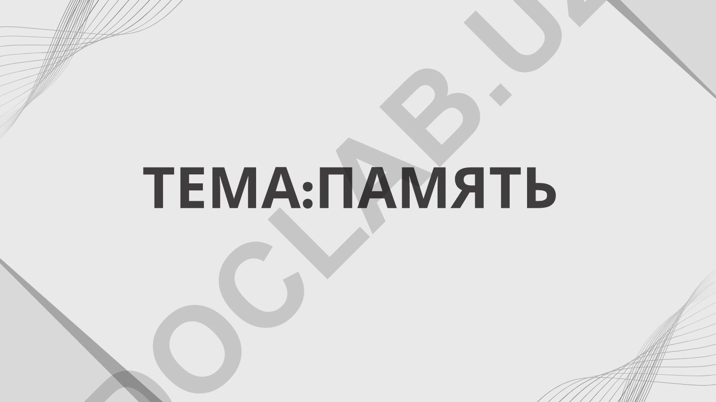 Память: виды и значение психического процесса