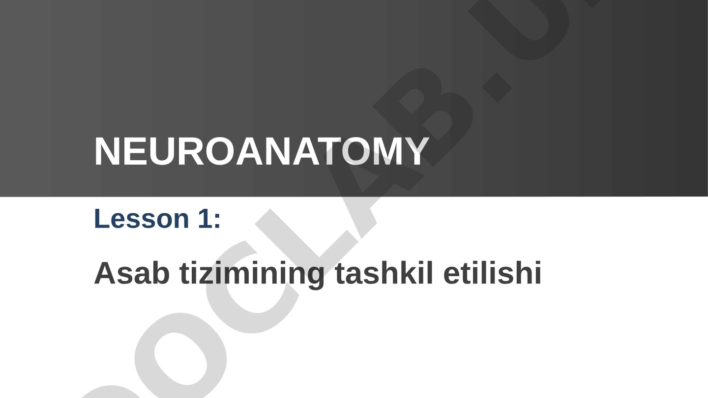 Asab tizimining tashkil etilishi