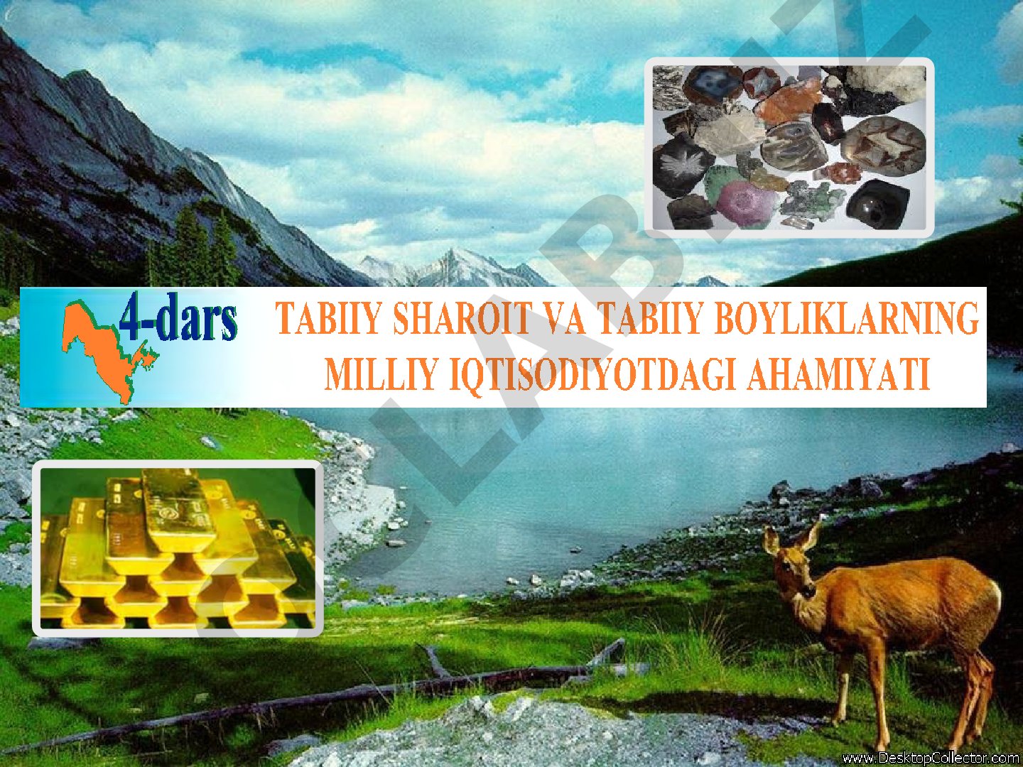 O'zbekiston hududining tabiiy sharoiti va xo'jalikdagi ahamiyati