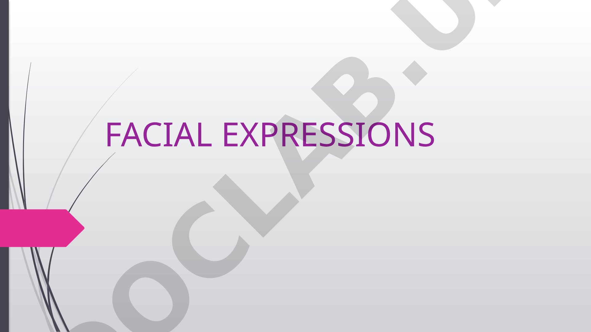 Describes six universal facial expressions: happiness, sadness, surprise, disgust, fear