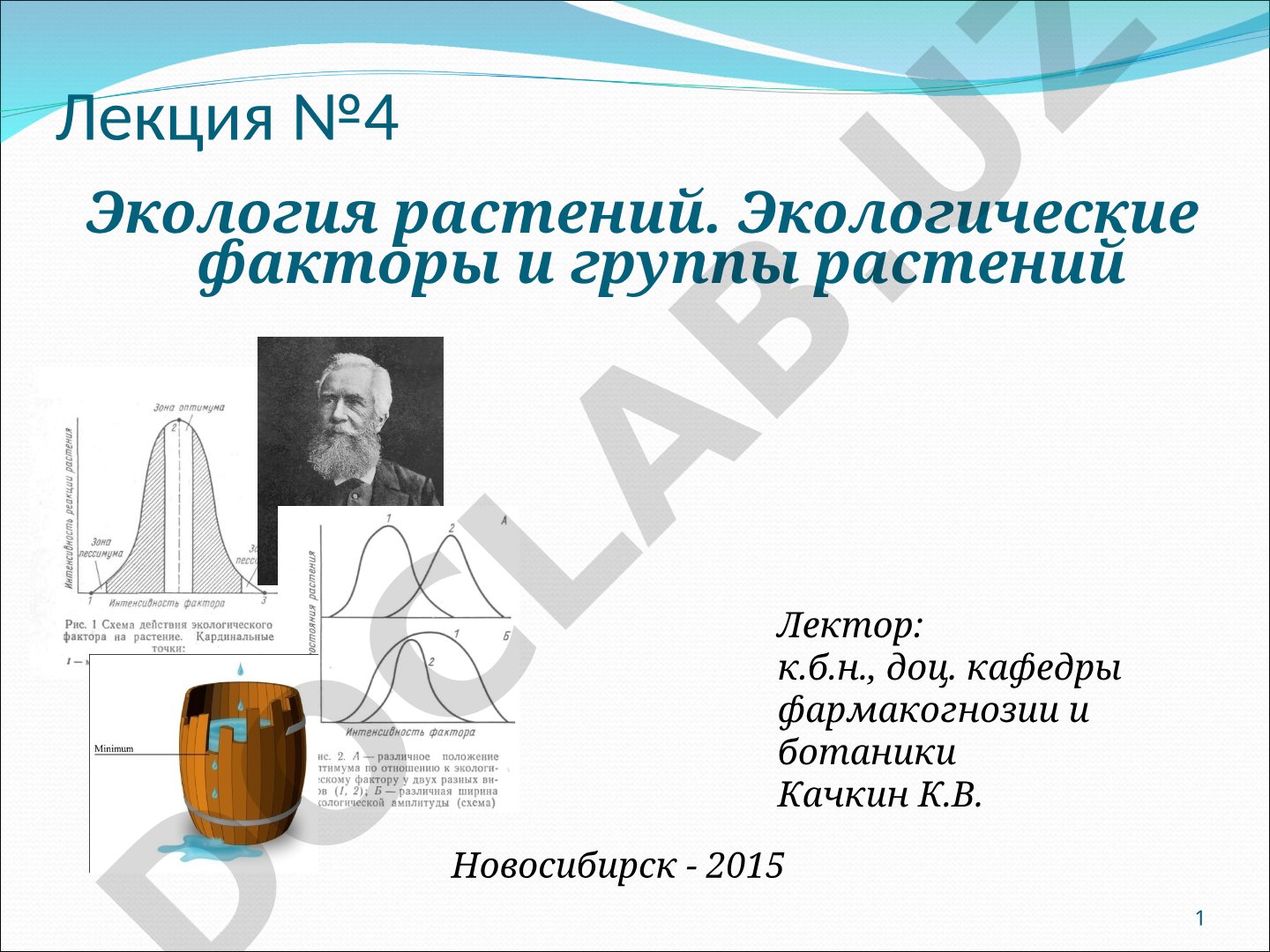 Экология растений. Экологические факторы и группы растений