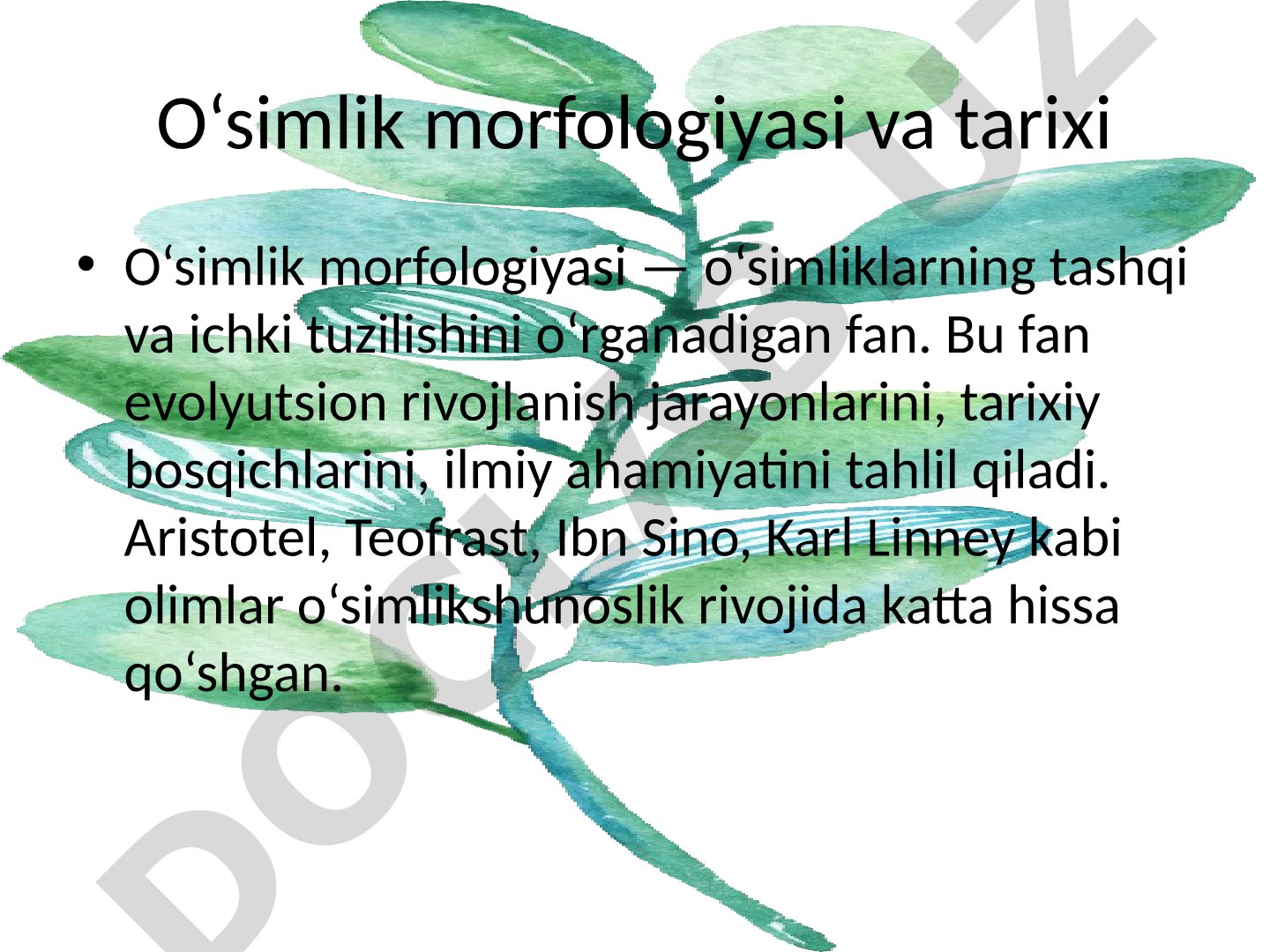 O‘simlik morfologiyasi va tarixi