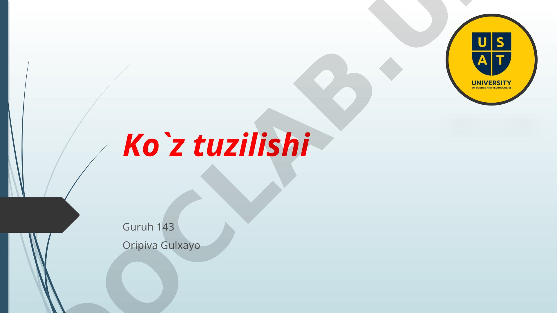 Ko`z tuzilishi