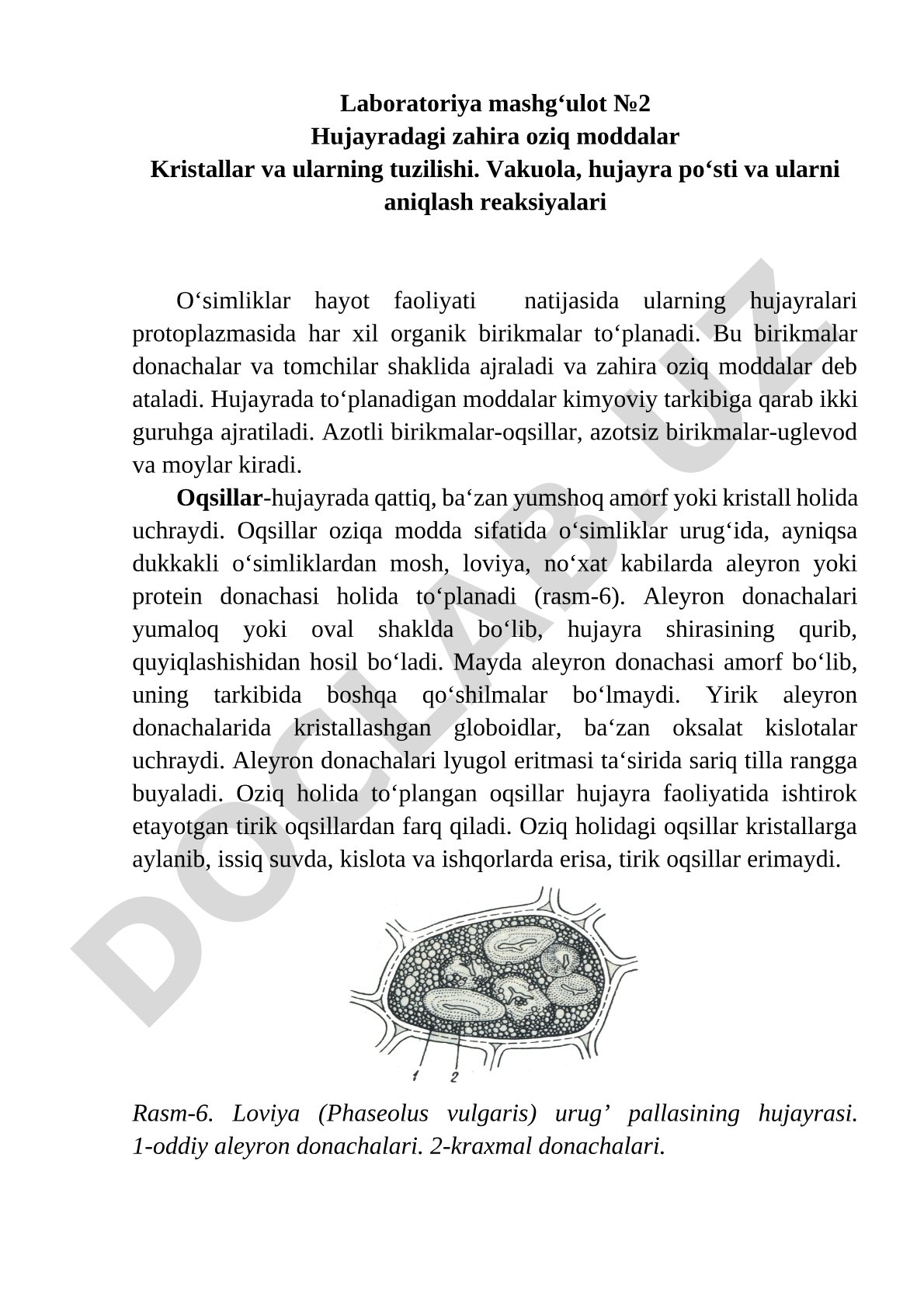 Hujayradagi zahira oziq moddalar kristallari va ularning tuzilishi
