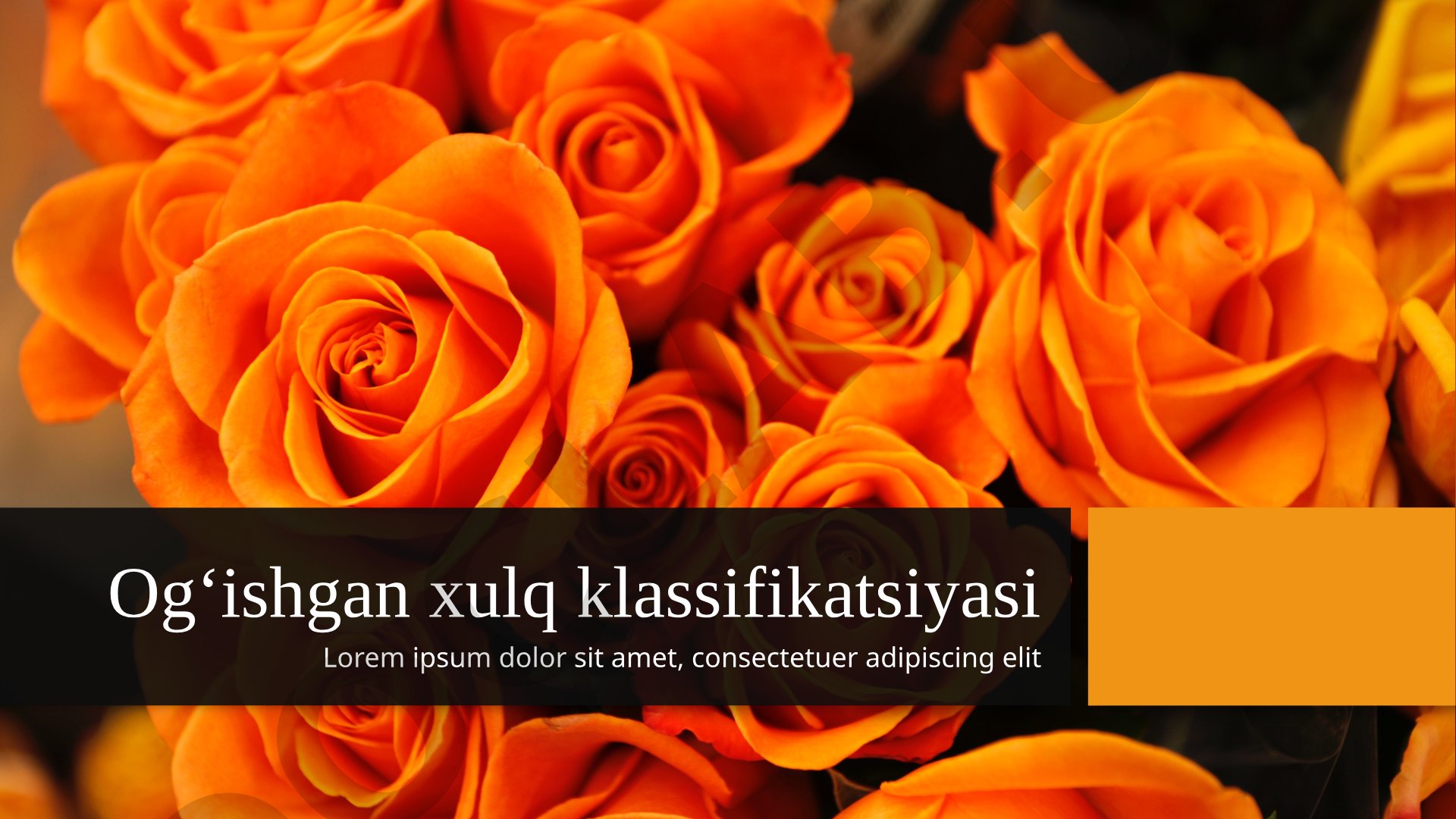 Og‘ishgan xulq turlari, ularning shakllanishi, ijtimoiy muhit va oilaviy tarbiyaning