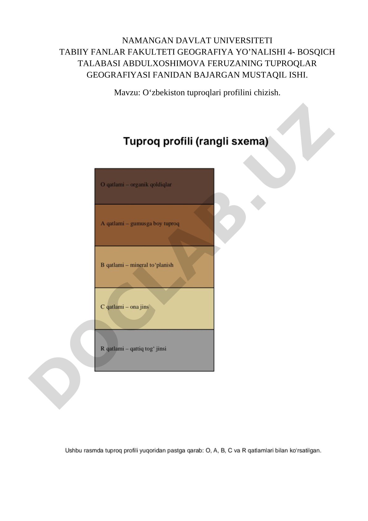 O‘zbekiston tuproqlari profilini chizish