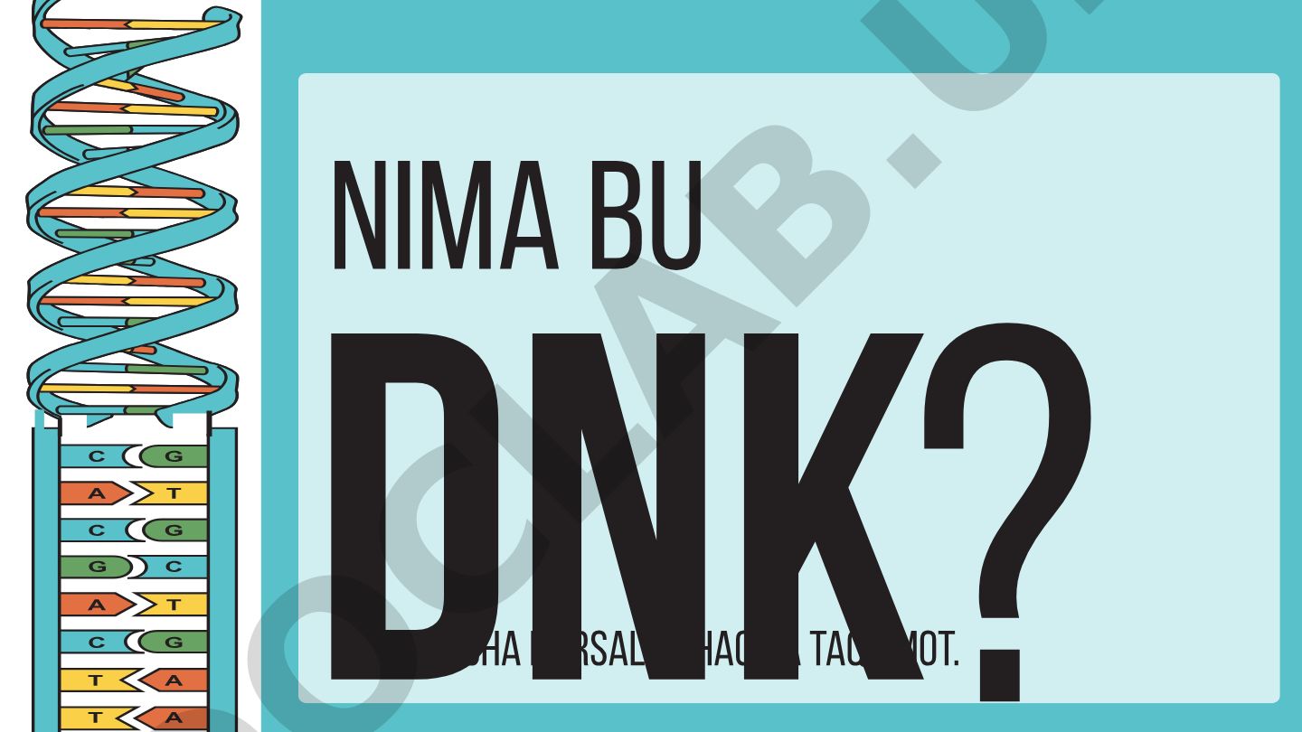 DNK tuzilishi va funksiyalari