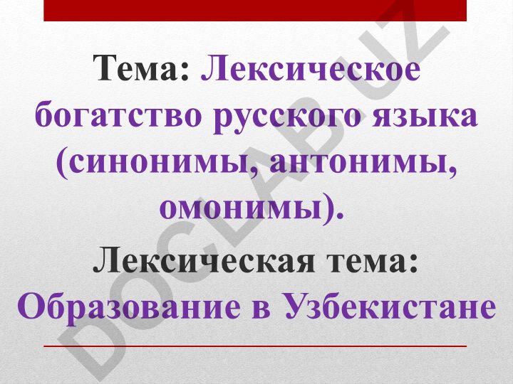 Лексическое богатство русского языка (синонимы, антонимы, омонимы)