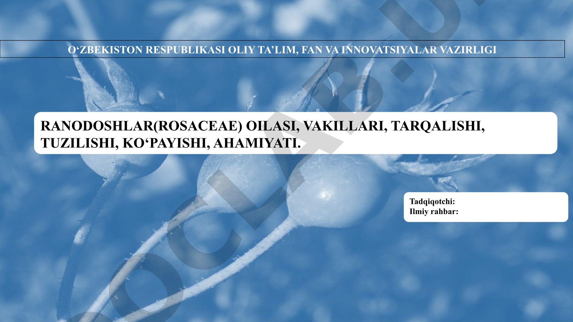 Ranodoshlar(Rosaceae) oilasi, vakillari, tarqalishi, tuzilishi, ko‘payishi, ahamiyati