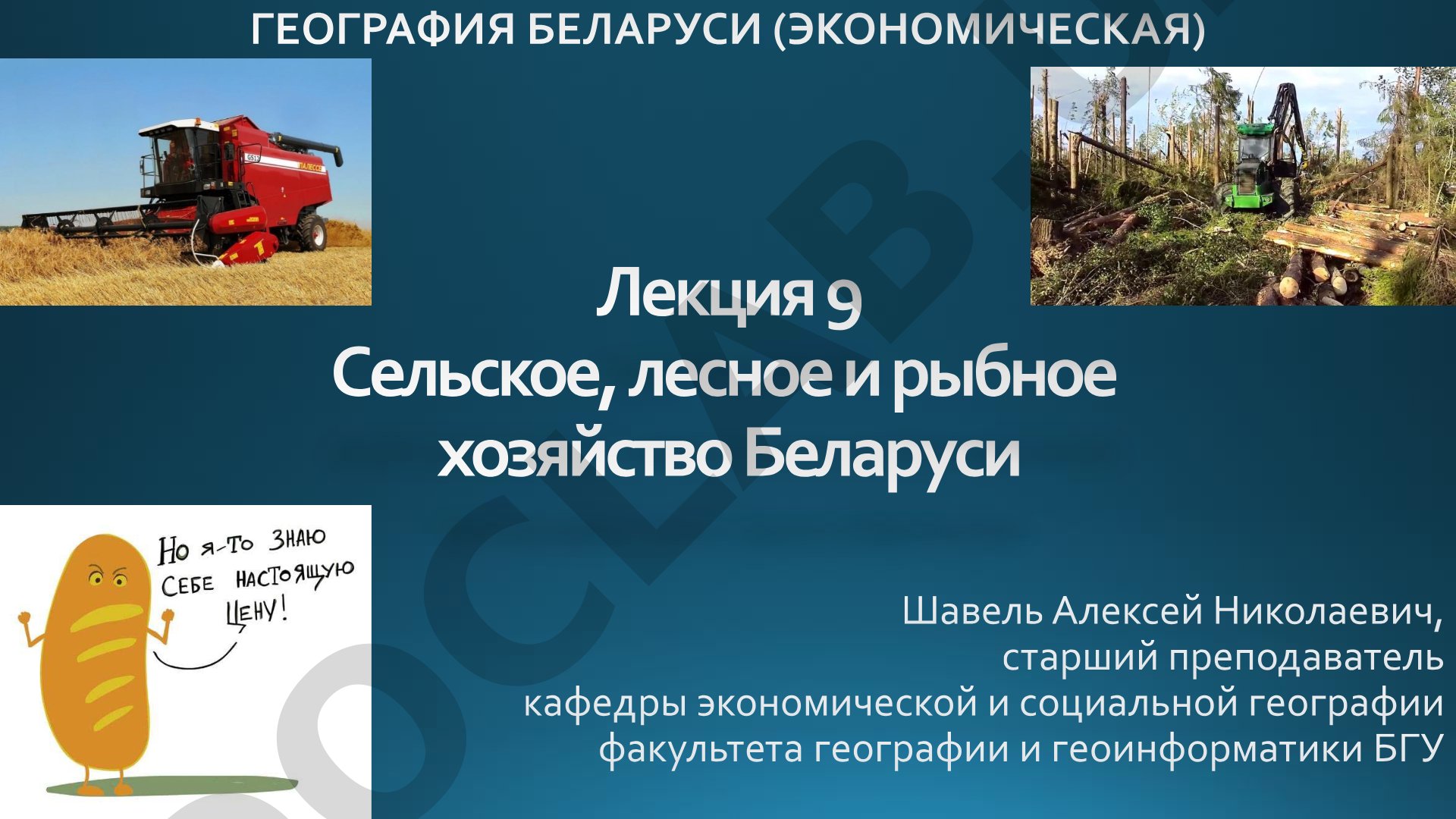 Структура земельного фонда и посевных площадей