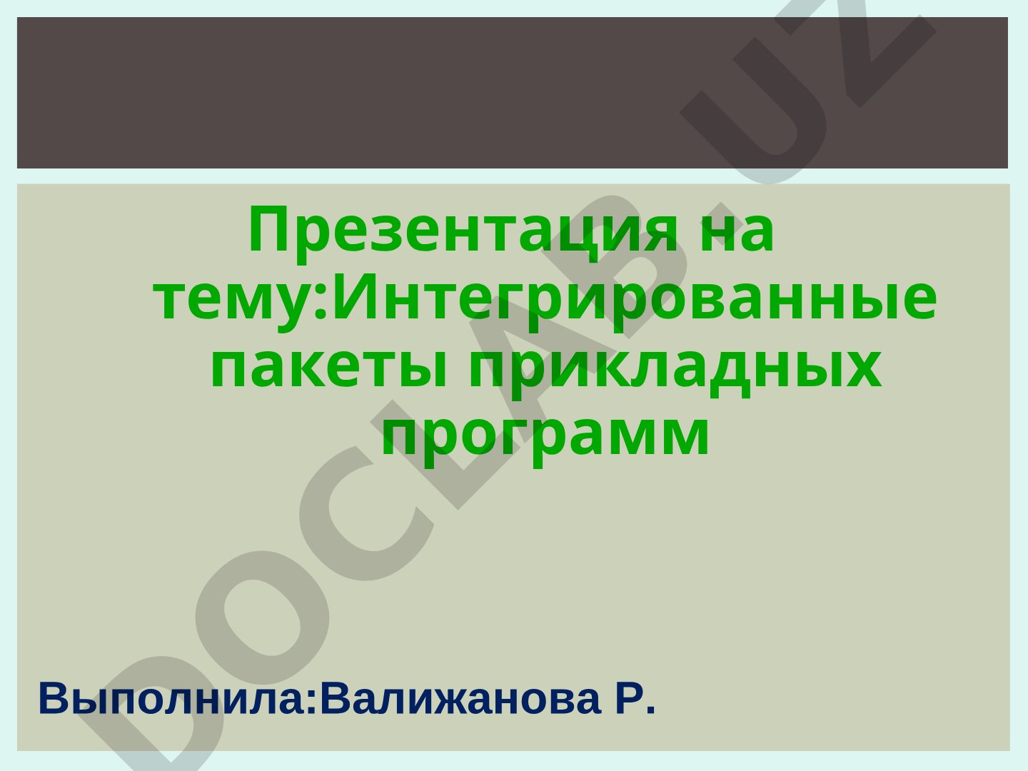 Интегрированные пакеты прикладных программ