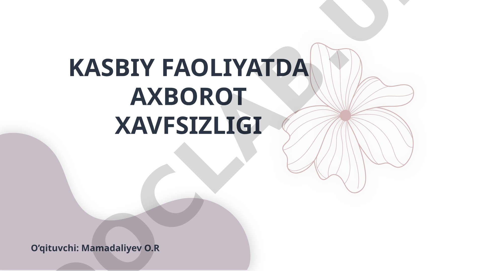Kasbiy faoliyatda axborot xavfsizligi