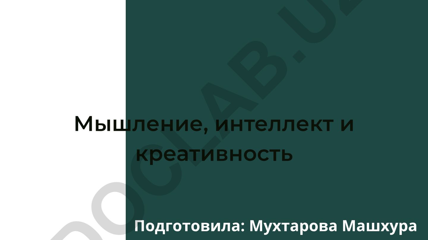 Мышление, интеллект и креативность