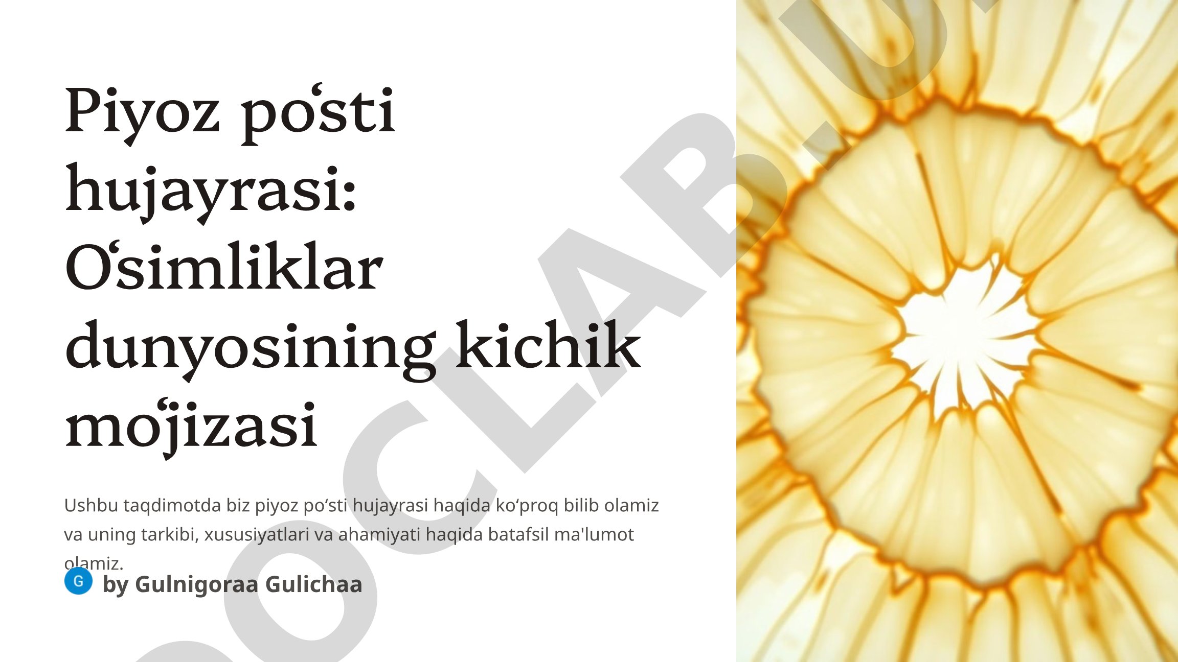 Piyoz poʻsti hujayrasi: Oʻsimliklar dunyosining kichik moʻjizasi