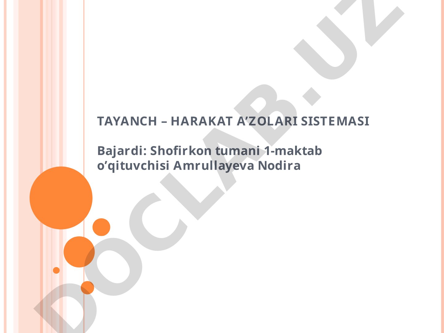 Tayanch-harakat a'zolari sistemasi