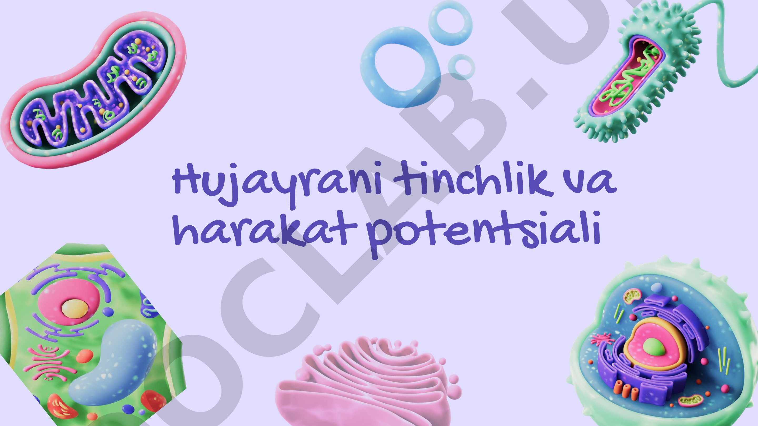 Hujayrani tinchlik va harakat potentsiali