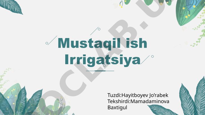 Irrigatsiya: tushunchasi, tarixi, turlari va zamonaviy texnologiyalar