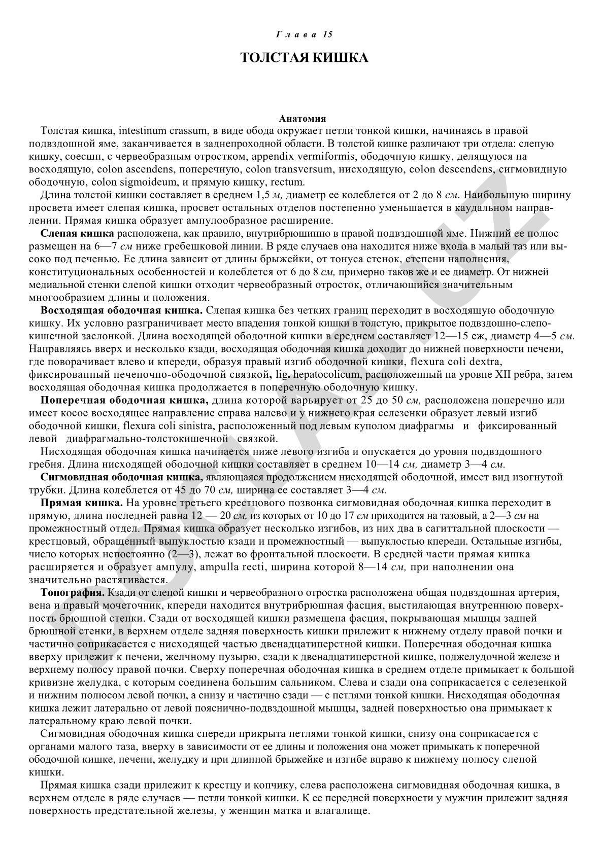 Строение и отделы толстой кишки: слепая, ободочная, сигмовидная, прямая