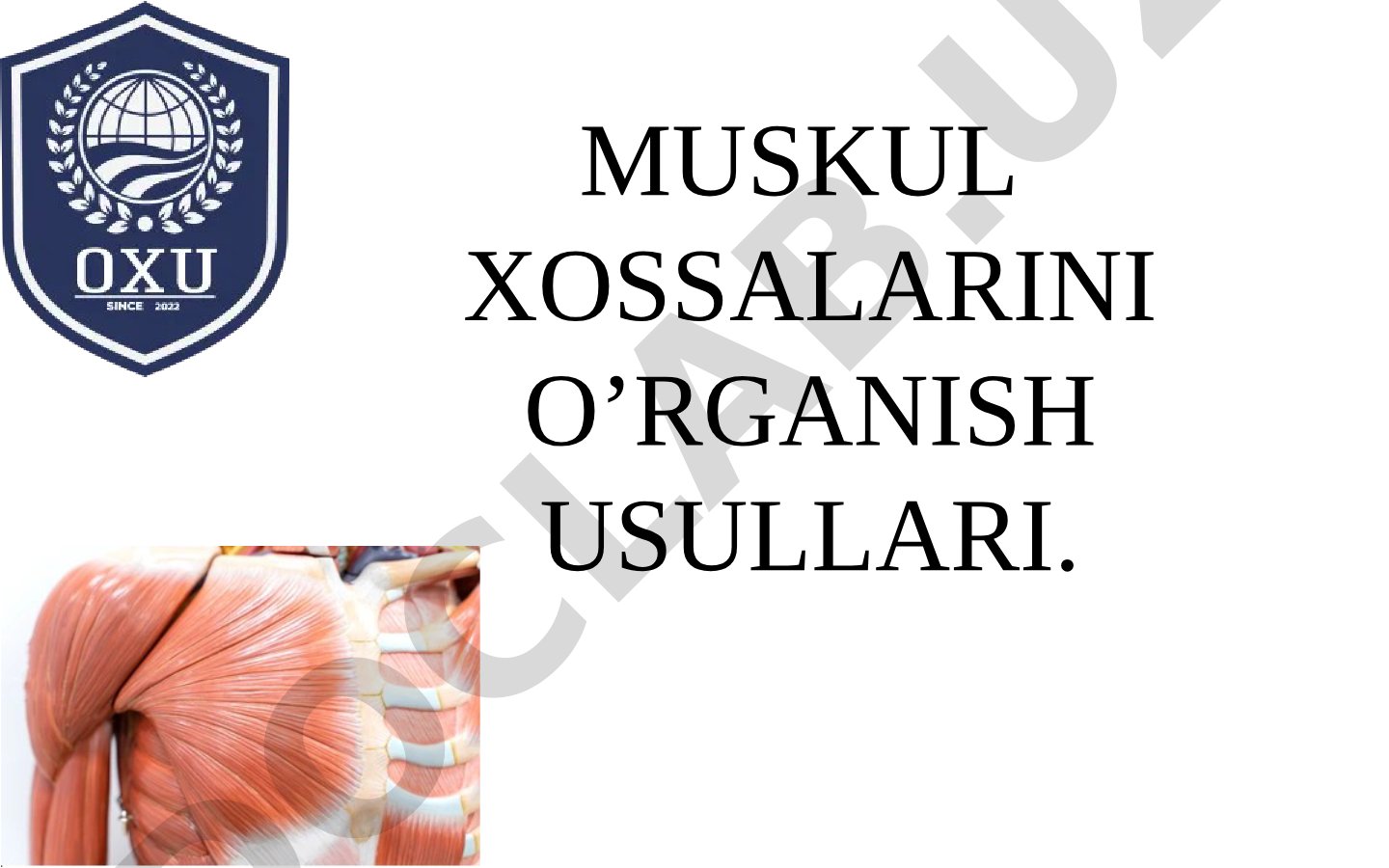 Muskul xossalarini o'rganish usullari