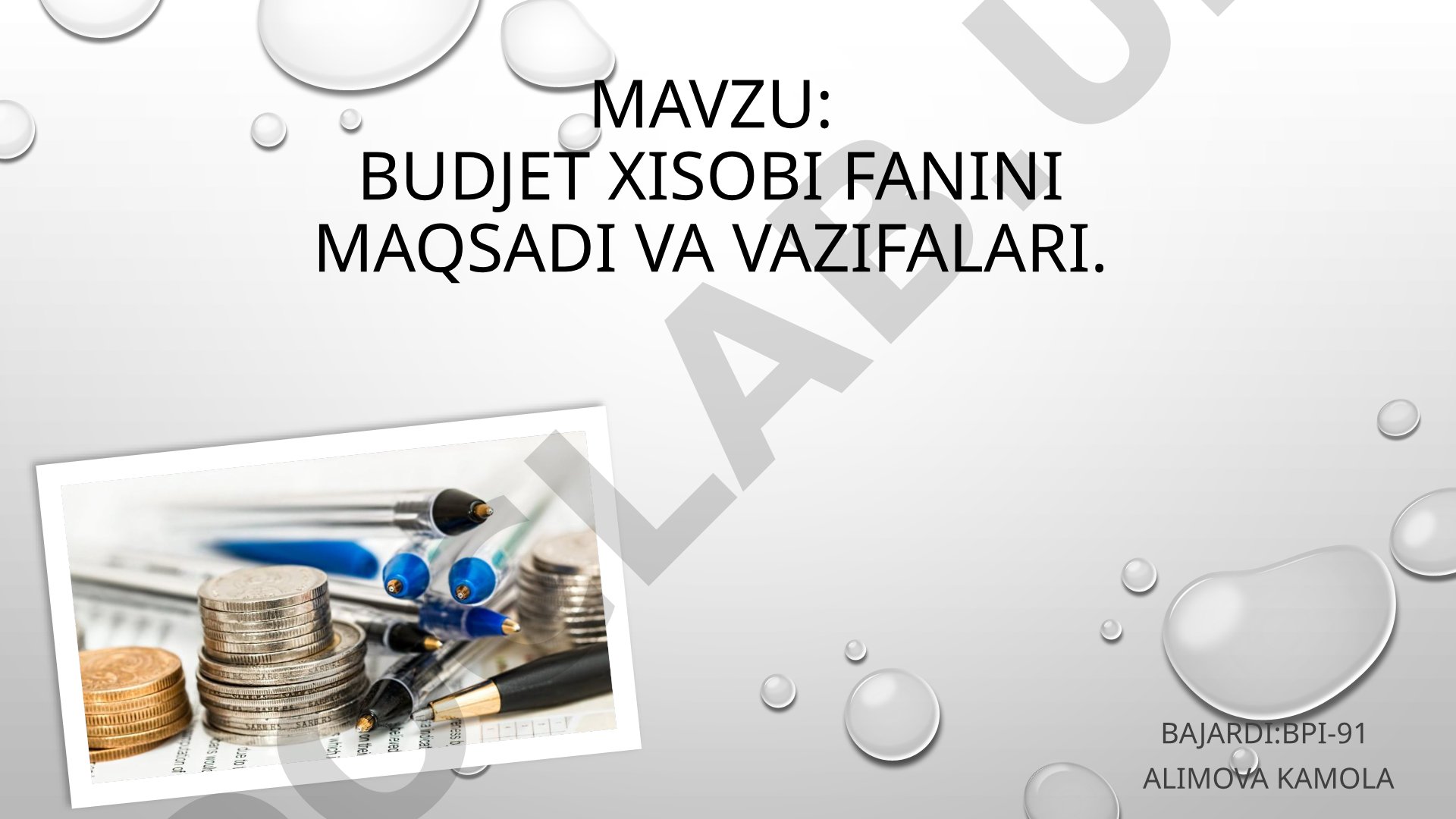 Budjet xisobi fanini maqsadi va vazifalari