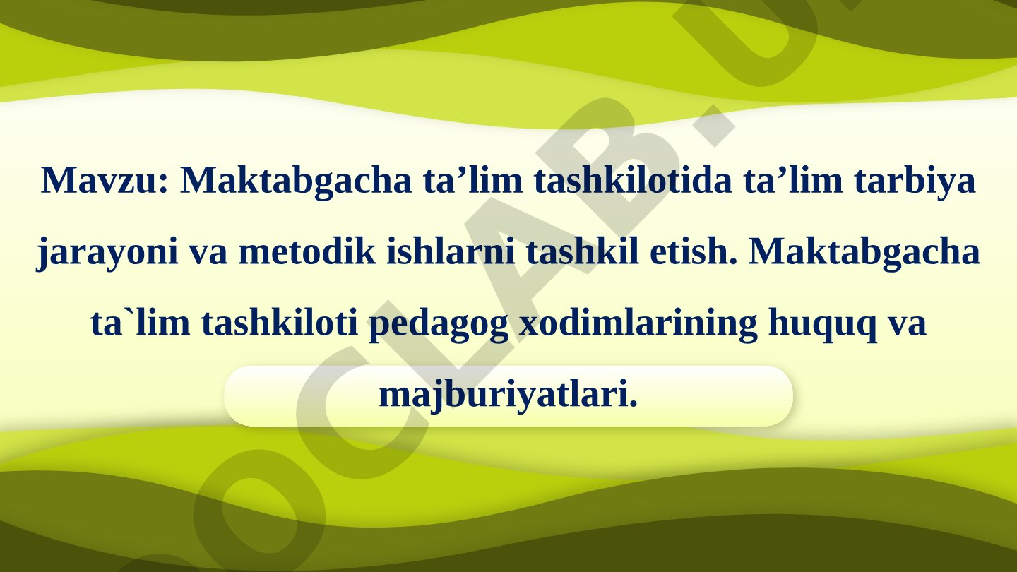 Maktabgacha ta’lim tashkilotida ta’lim tarbiya jarayoni va metodik ishlarni tashkil etish