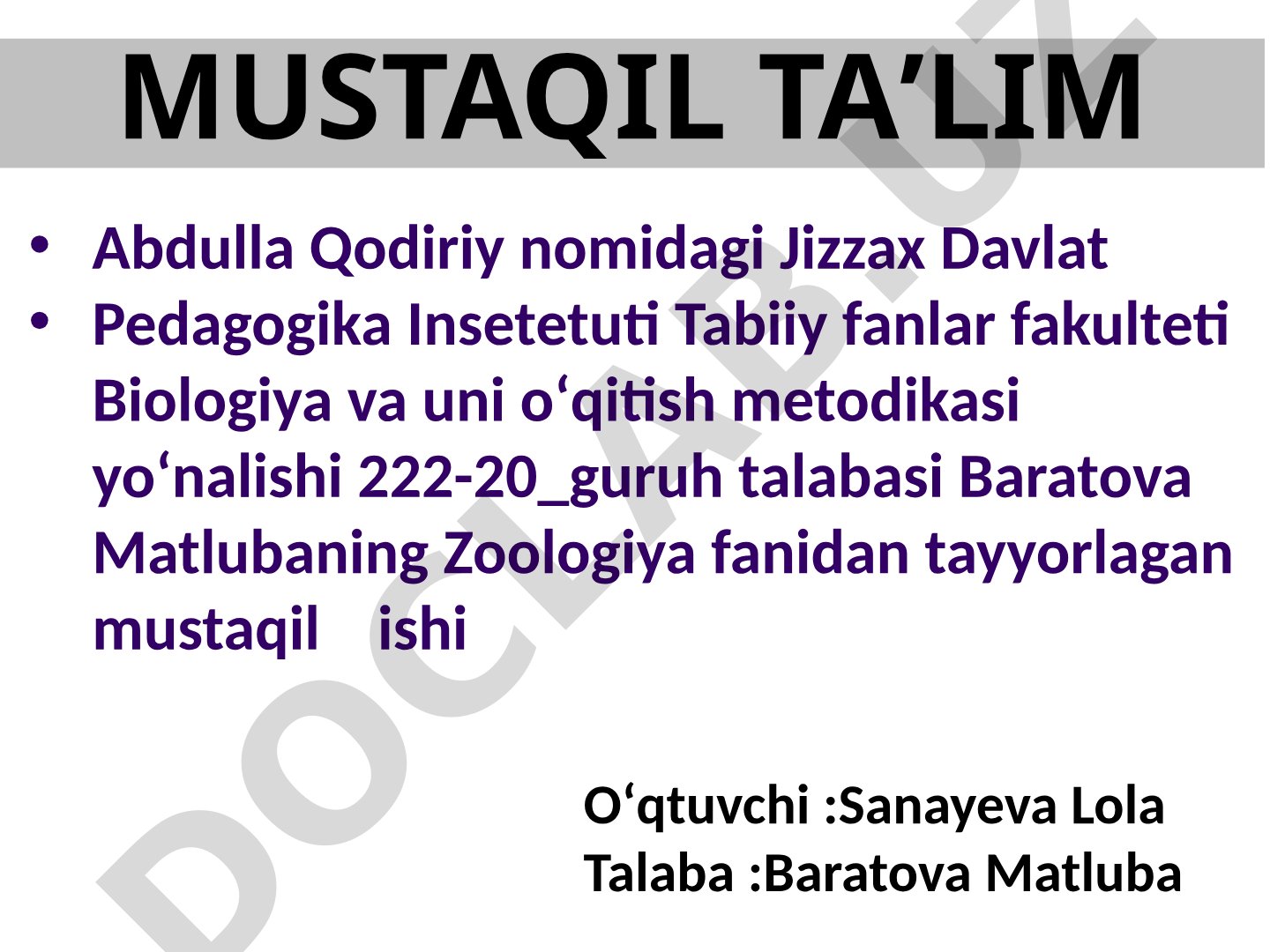 Falco jugger (Laggar falcon) zoologik tavsifi