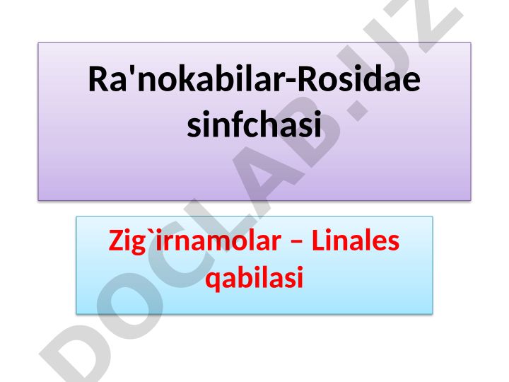 Zig'irnamolar - Linales qabilasi va zig'irdoshlar oilasi