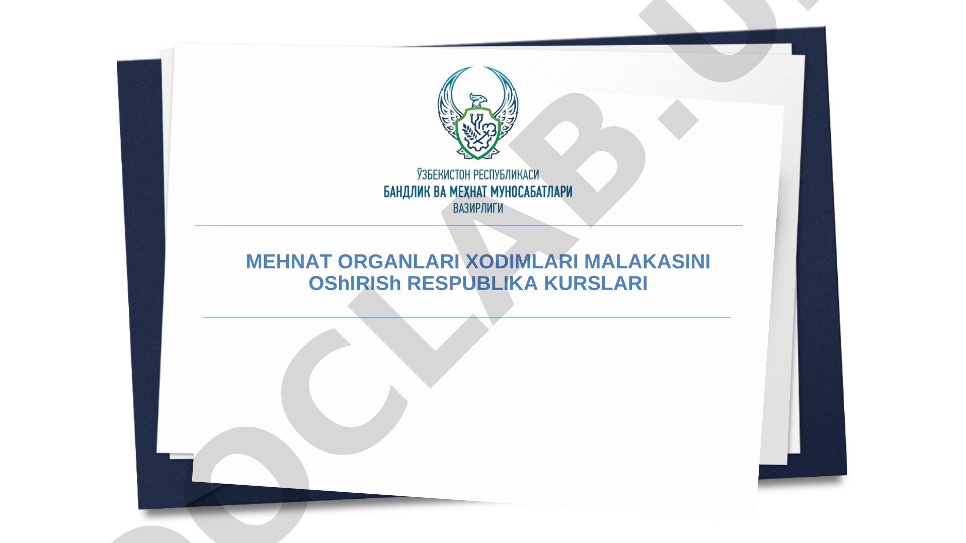 Munosib mehnat konsepsiyasi 4 ta strategik vazifani o'z ichiga olgan