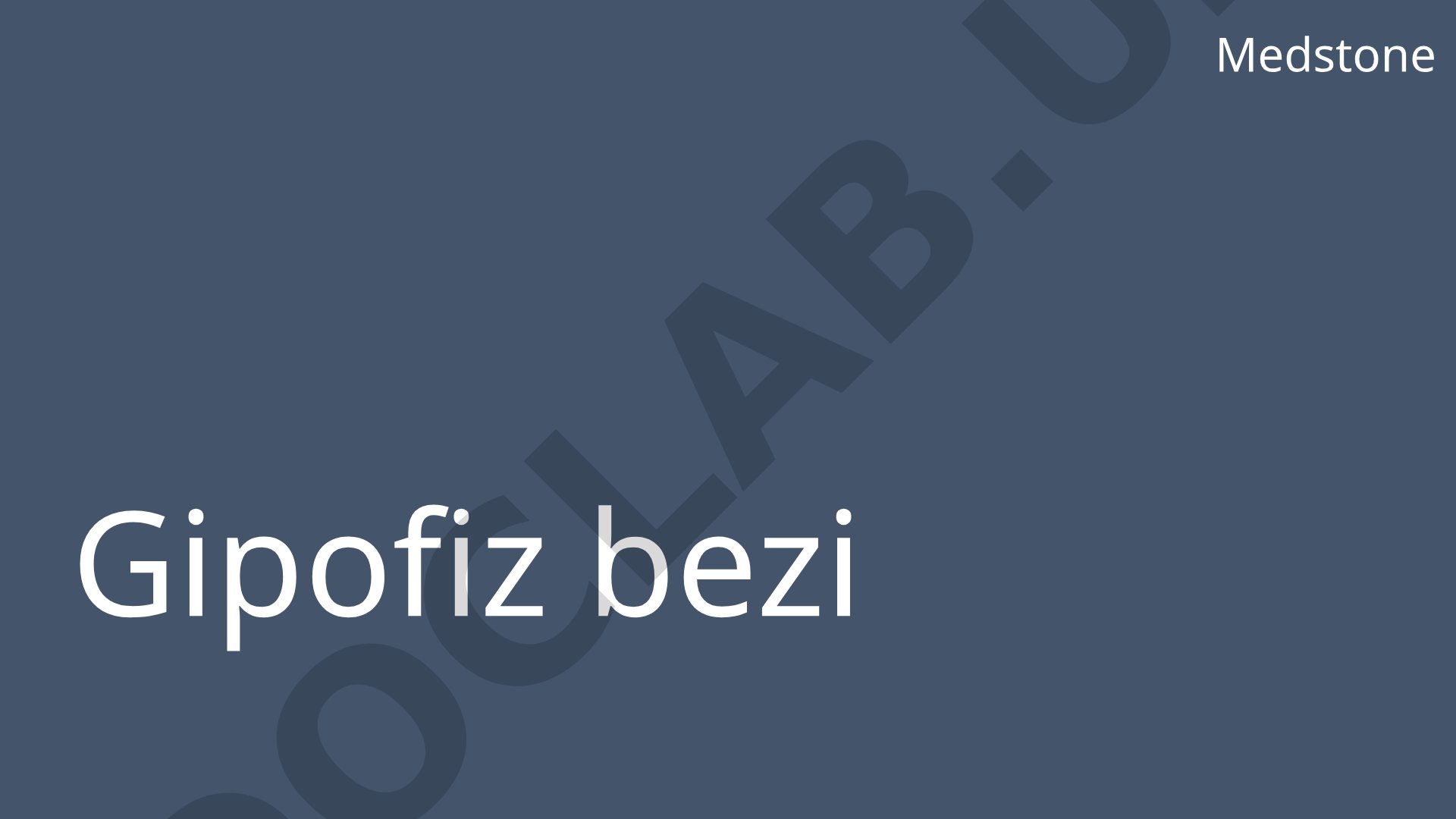 Gipofiz bezi: tuzilishi va vazifalari