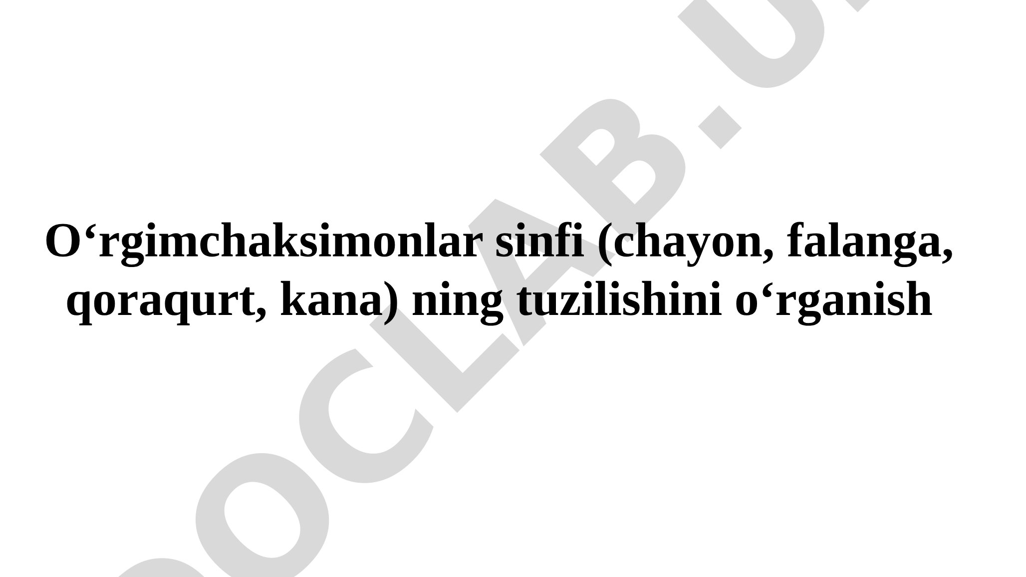 O'rgimchaksimonlar sinfi vakillarining tuzilishi
