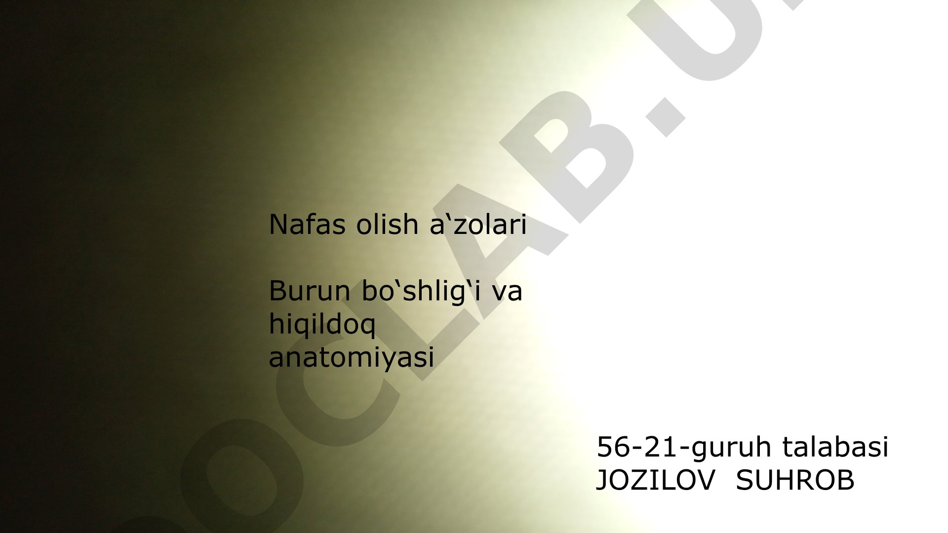 Systema respiratoria: nafas olish a'zolari anatomiyasi