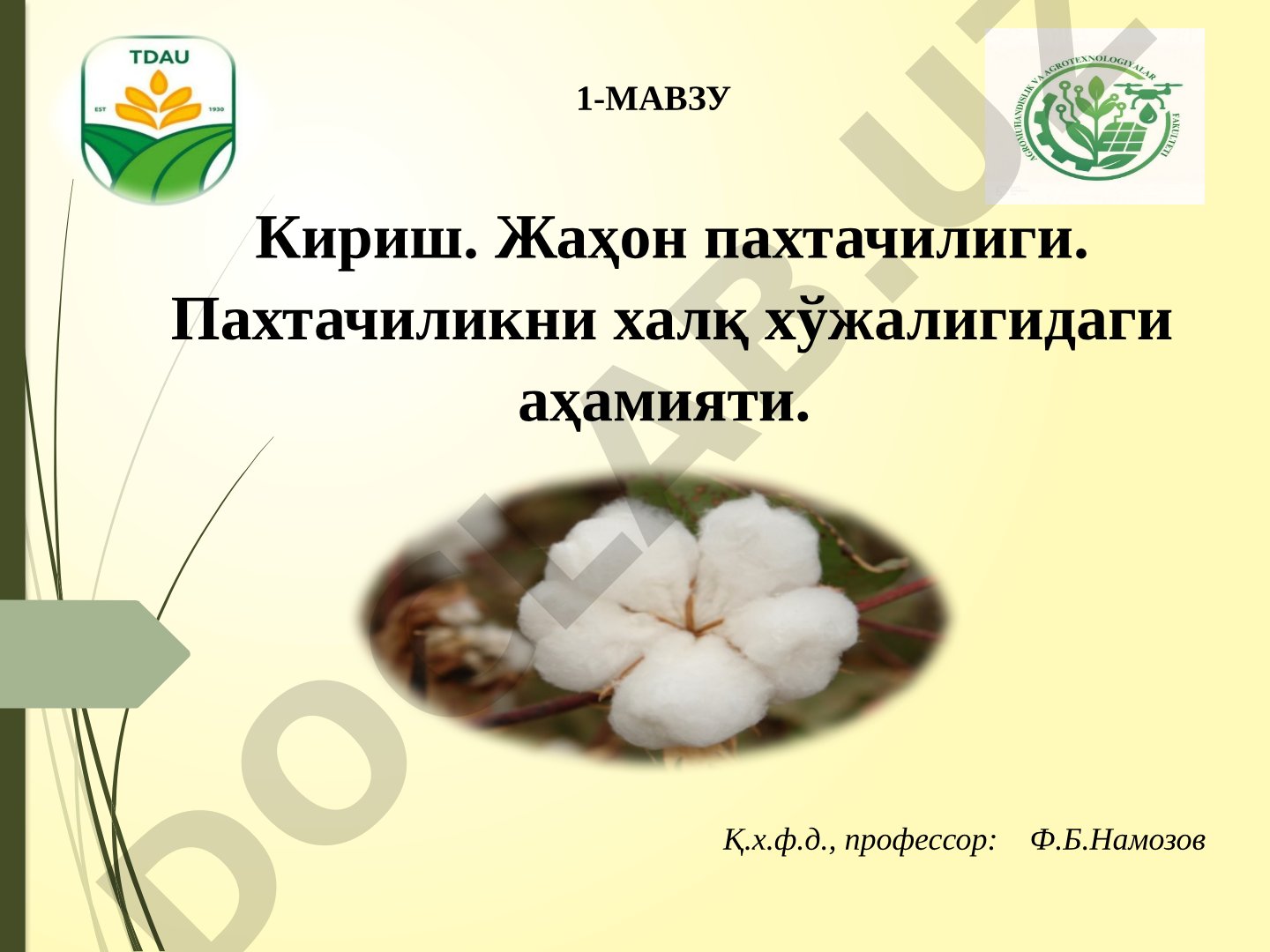 Жаҳон пахтачилиги ва пахтачиликнинг халқ хўжалигидаги аҳамияти