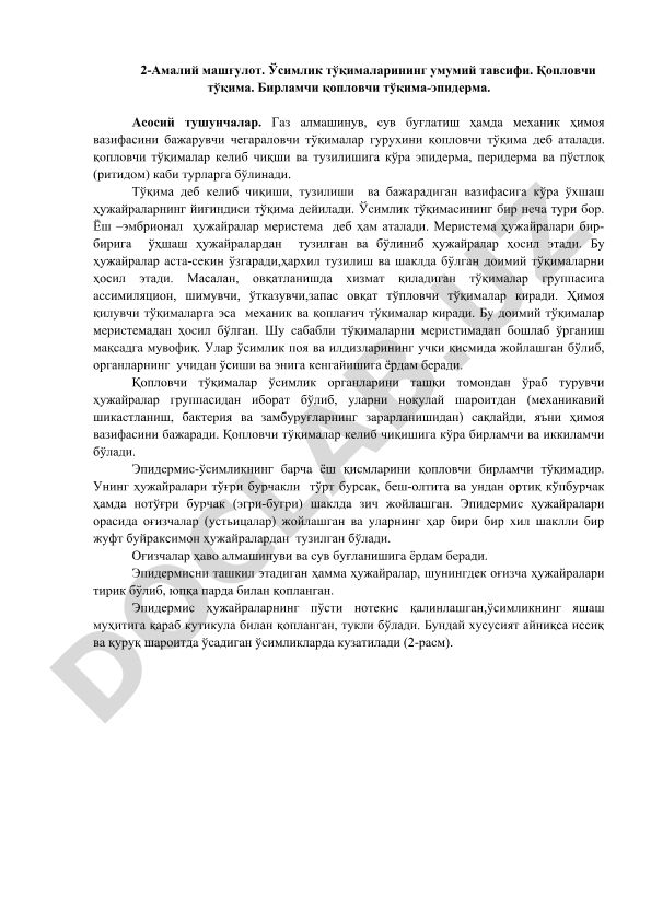 Ўсимлик тўқималарининг умумий тавсифи ва қопловчи тўқима