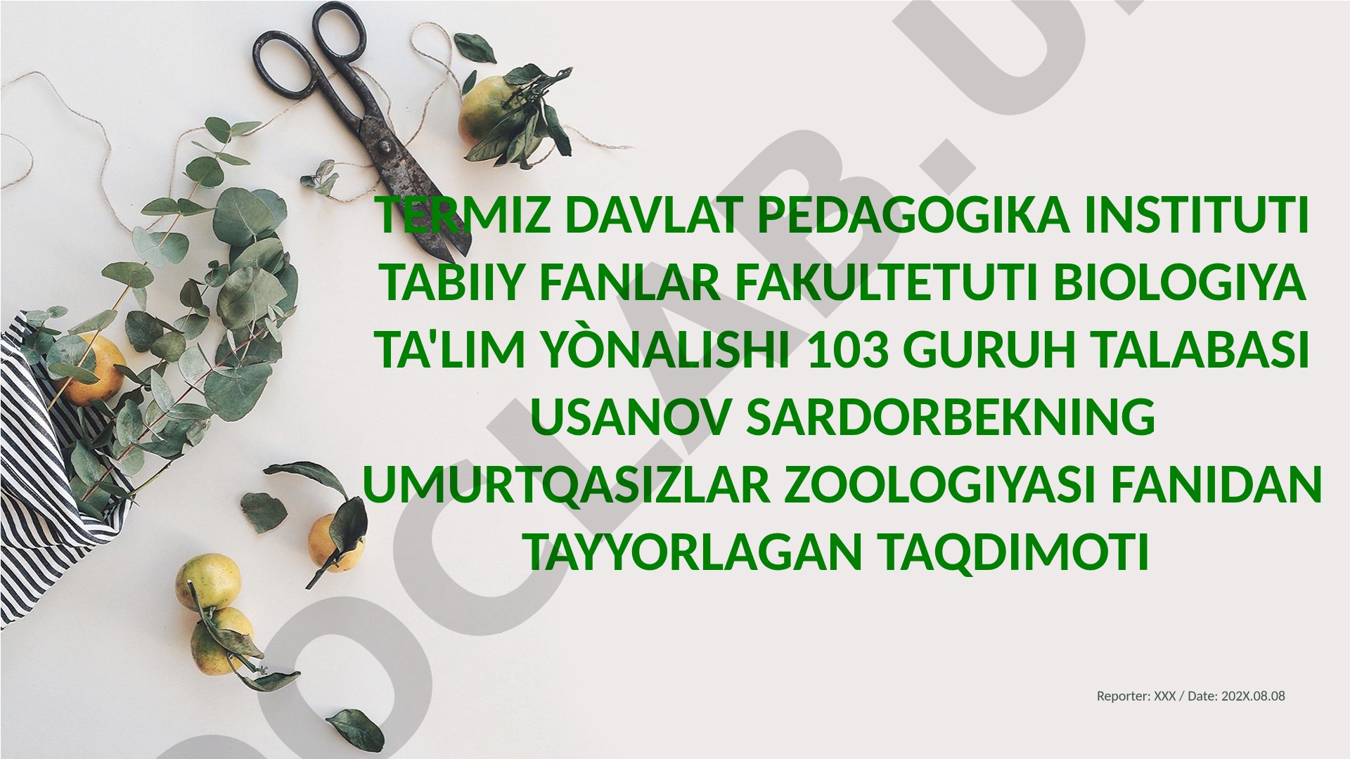 Zuluklar (Hirudinae) sinfi