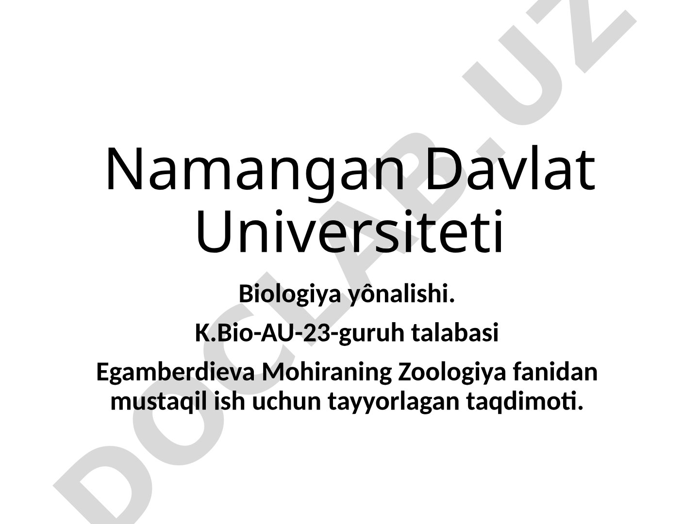 Halqali chuvalchanglar tipi, zuluklar sinfi