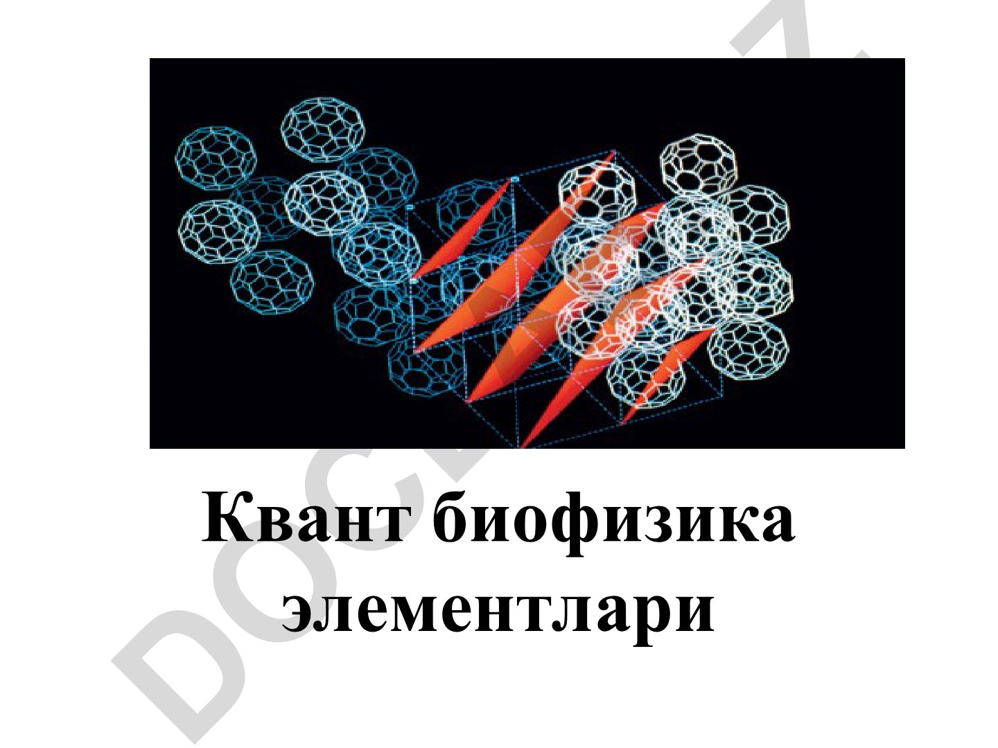 Квант биофизика элементлари: фотофизика ва фотокимё асослари