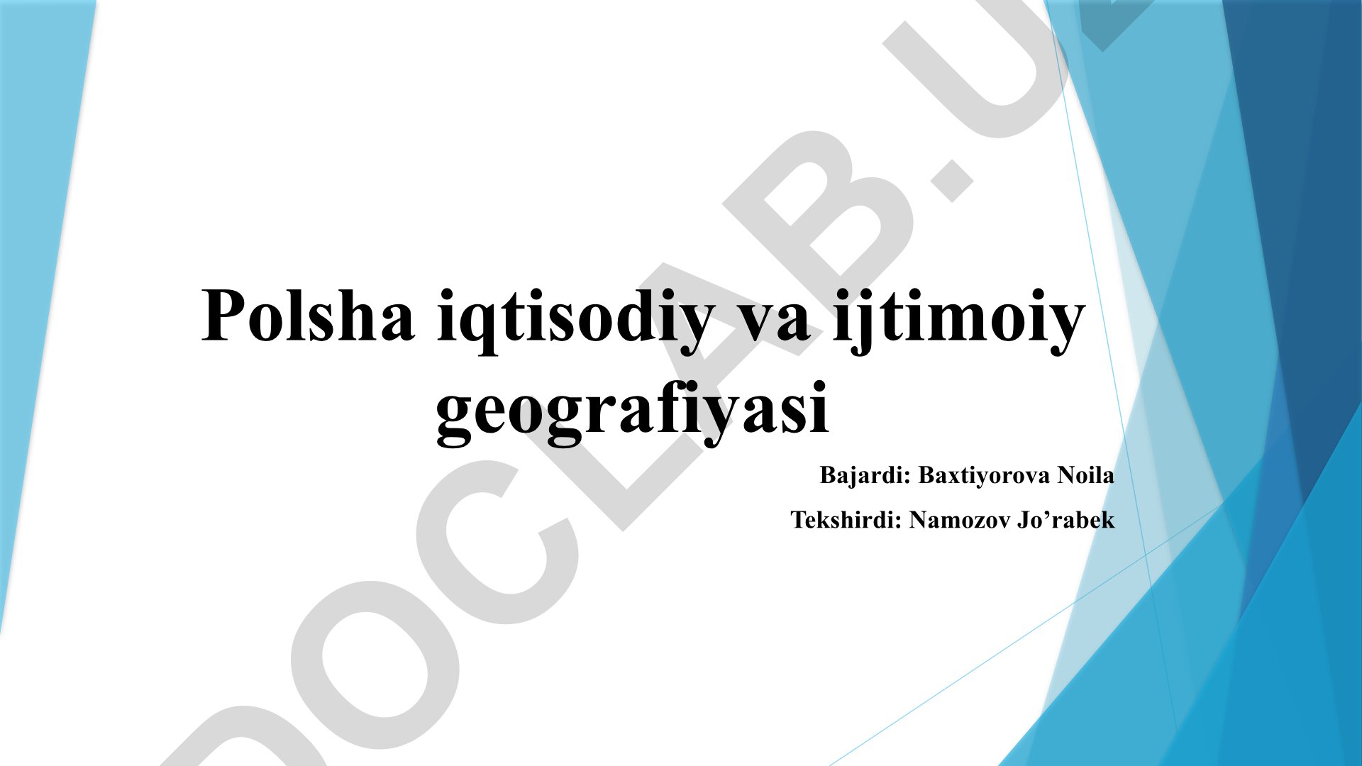 Polsha iqtisodiy va ijtimoiy geografiyasi