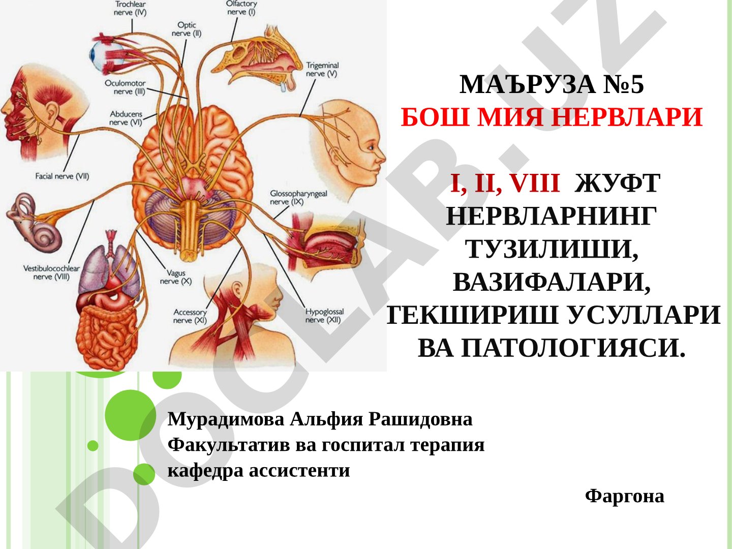 Бош мия нервлари I, II, VIII жуфт нервларнинг тузилиши, вазифалари, текшириш усуллари ва патологияси