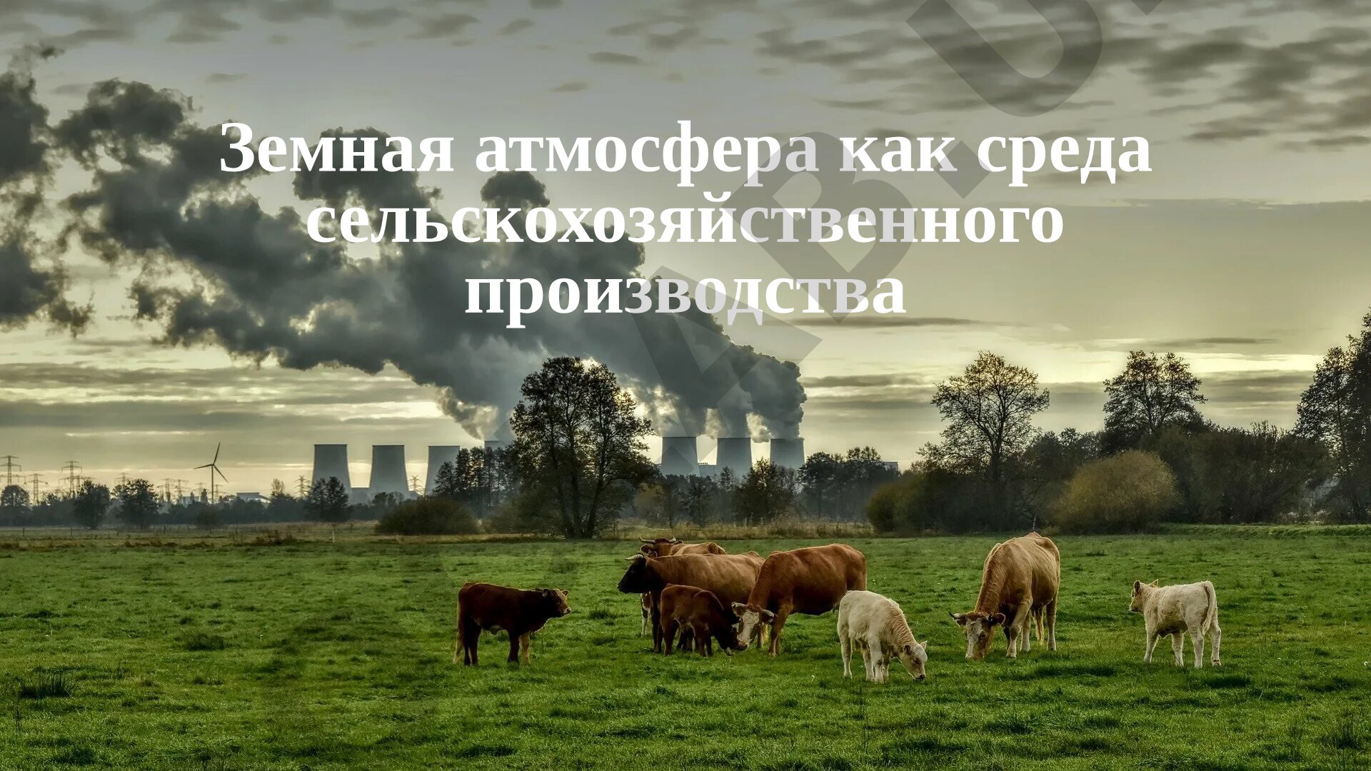 Земная атмосфера как среда сельскохозяйственного производства