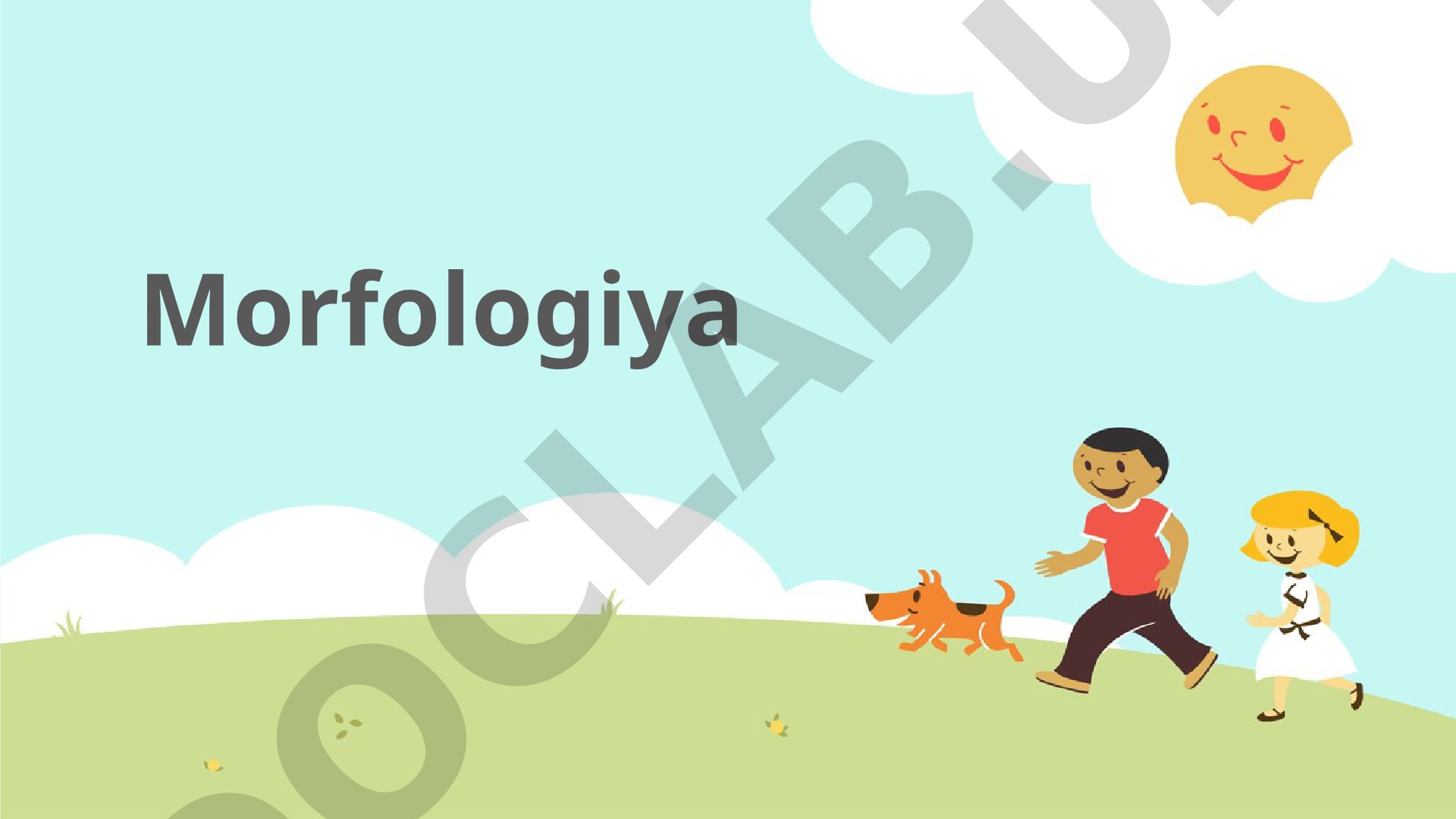 Morfologiya 1