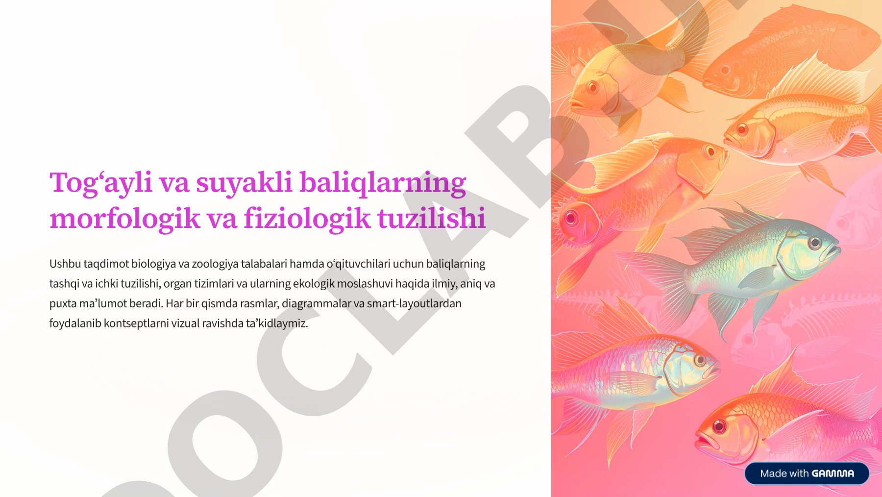 Togʻayli va suyakli baliqlarning morfologik va fiziologik tuzilishi