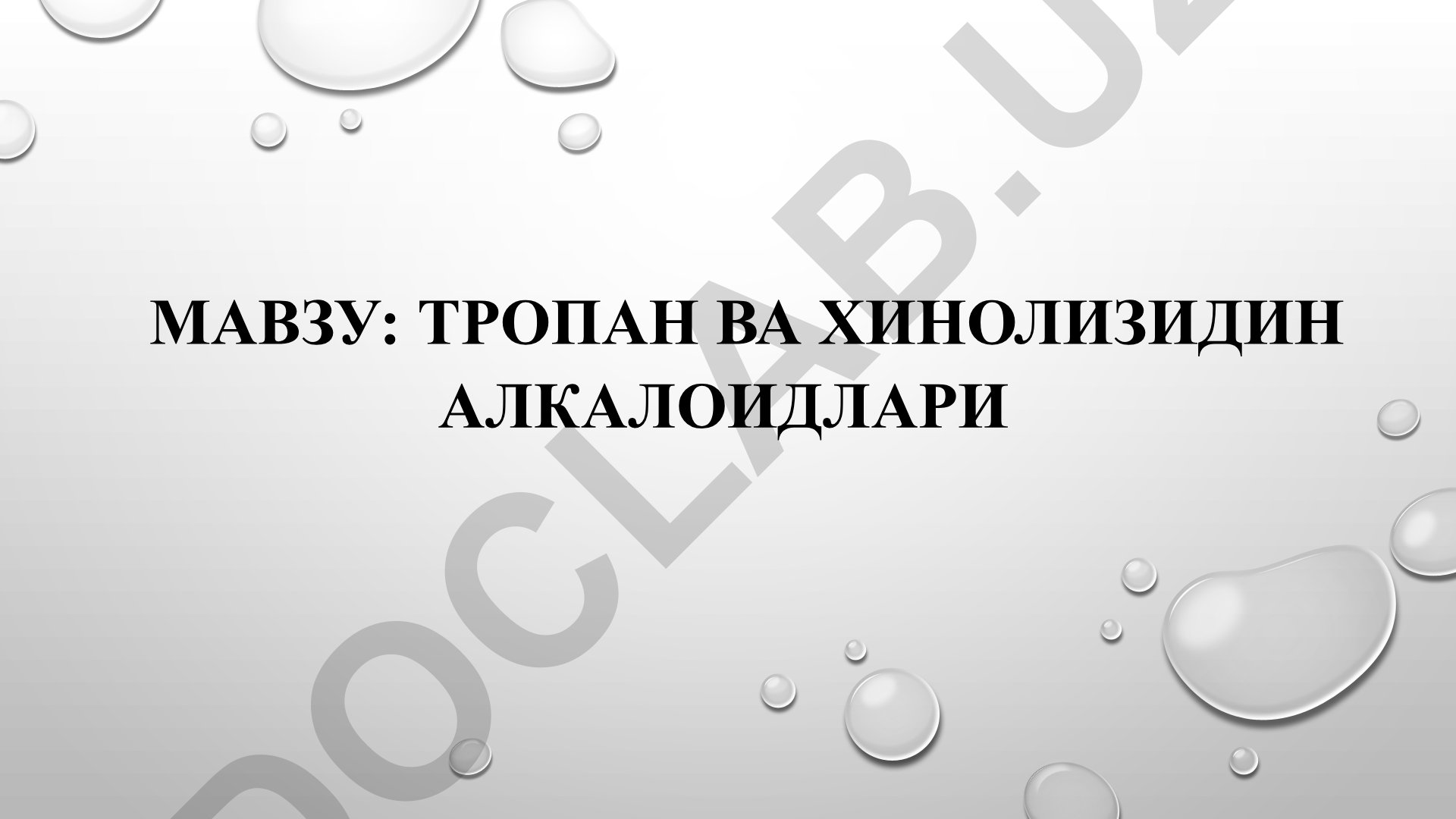 Тропан ва хинолизидин алкалоидлари